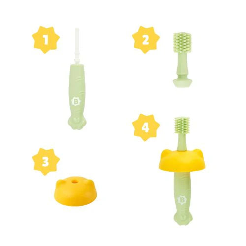 Brosse à dent évolutive en silicone