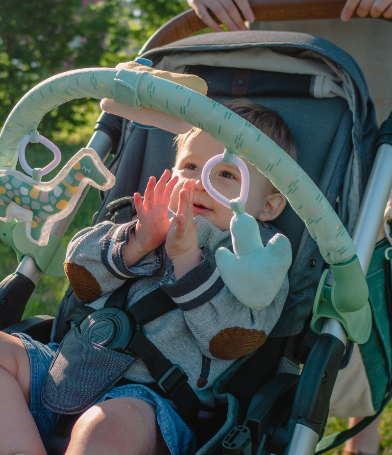 Arche Universelle Safari