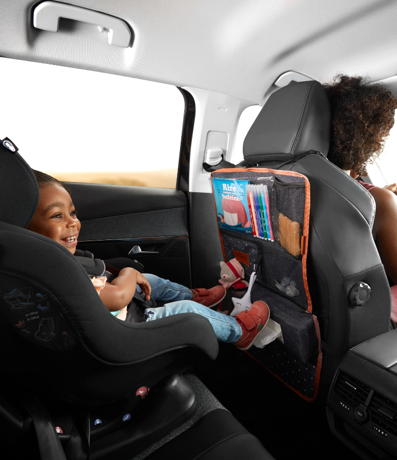 Organisateur de voiture Easy Travel