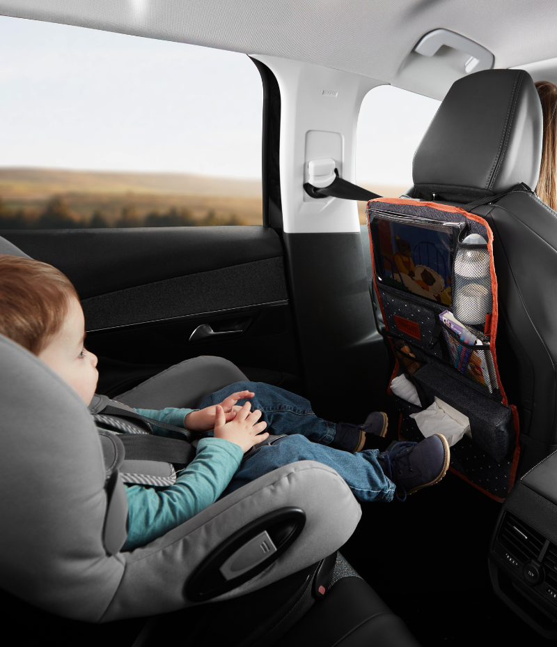 Organisateur de voiture Easy Travel